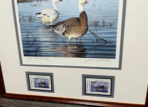 John Dearman 2001 Texas Waterfowl Duck Stamp Print With Double Stamps Artist Proof - Brand New Custom Sporting Frame