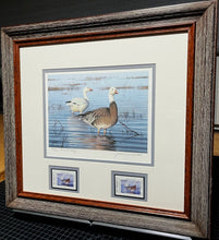 Load image into Gallery viewer, John Dearman 2001 Texas Waterfowl Duck Stamp Print With Double Stamps Artist Proof - Brand New Custom Sporting Frame