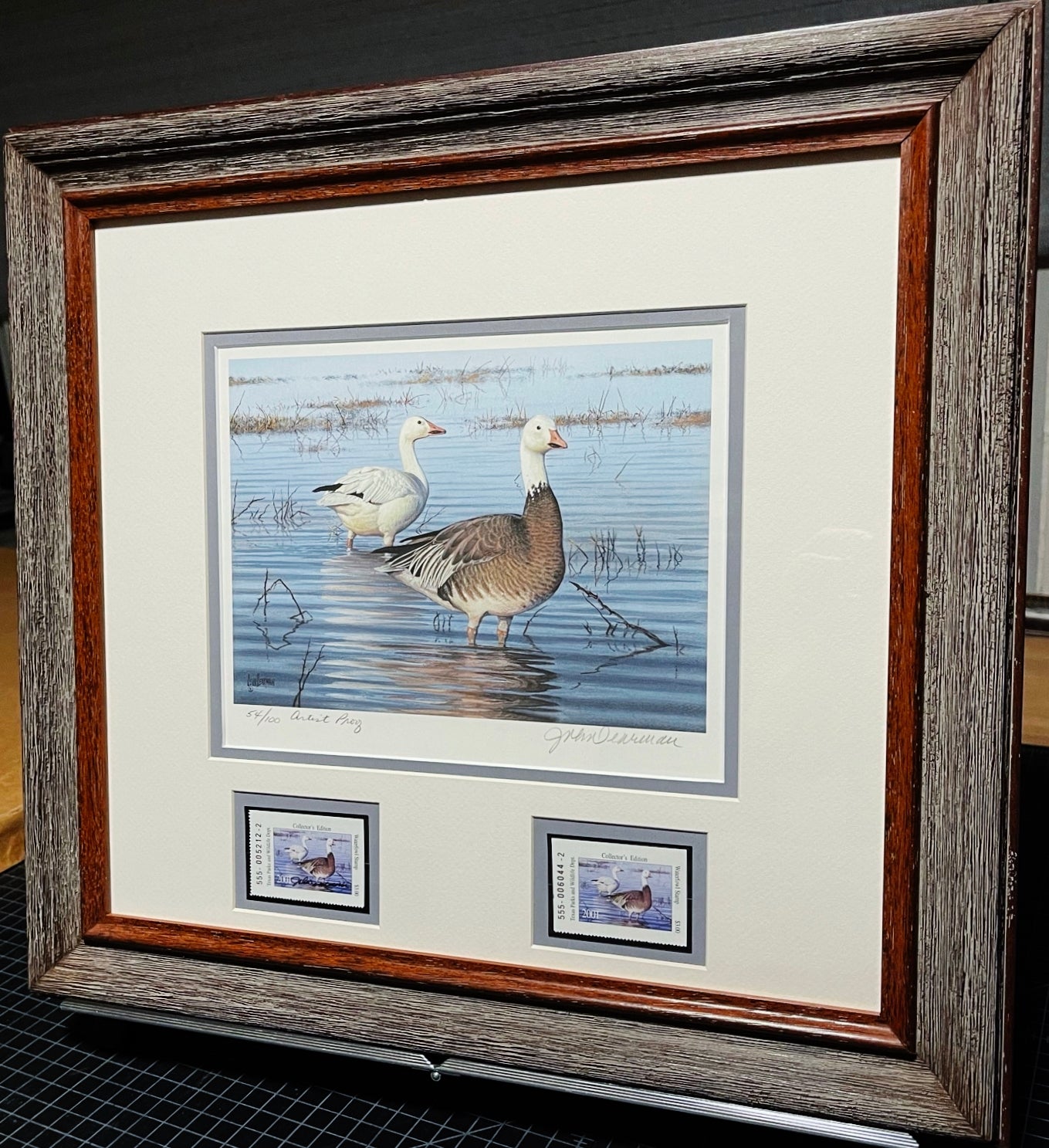 John Dearman - 2001 Texas Waterfowl Duck Stamp Print With Double Stamps - AP - Brand New Custom Sporting Frame