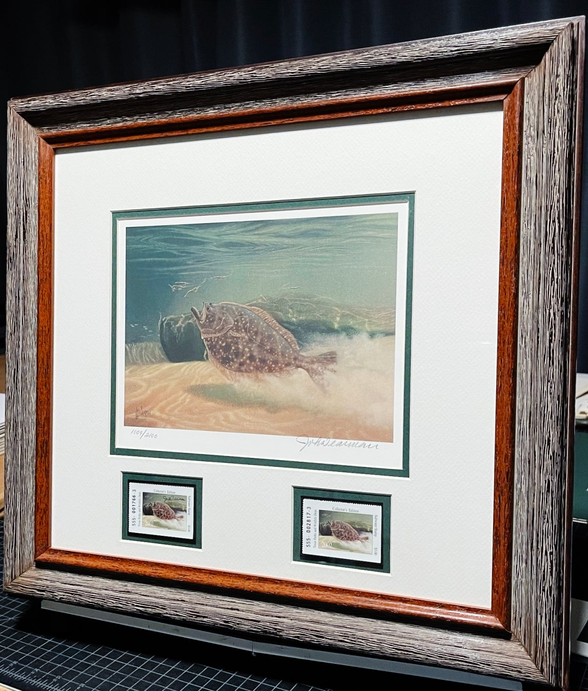 John Dearman - 2002 Texas Saltwater Stamp Print With Double Stamps - Brand New Custom Sporting Frame