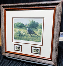 Load image into Gallery viewer, John Dearman 2002 Texas Turkey Stamp Print With Double Stamps - Artist Proof - Rio Grande Gobbler With Double Stamps - Brand New Super Custom Sporting Frame