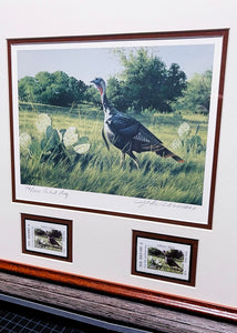 John Dearman 2002 Texas Turkey Stamp Print With Double Stamps - Artist Proof - Rio Grande Gobbler With Double Stamps - Brand New Super Custom Sporting Frame