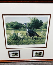 Load image into Gallery viewer, John Dearman 2002 Texas Turkey Stamp Print With Double Stamps - Artist Proof - Rio Grande Gobbler With Double Stamps - Brand New Super Custom Sporting Frame