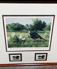 Load image into Gallery viewer, John Dearman - 2002 Texas Turkey Stamp Print - Artist Proof Rio Grande Gobbler With Double Stamps - Brand New Custom Sporting Frame