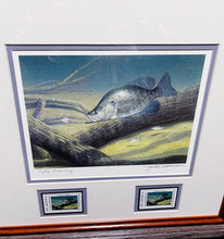 Load image into Gallery viewer, John Dearman  2005 Texas Freshwater Stamp Print With Double Stamps - Artist Proof - Brand New Custom Sporting Frame