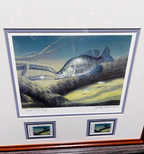 John Dearman  2005 Texas Freshwater Stamp Print With Double Stamps - Artist Proof - Brand New Custom Sporting Frame