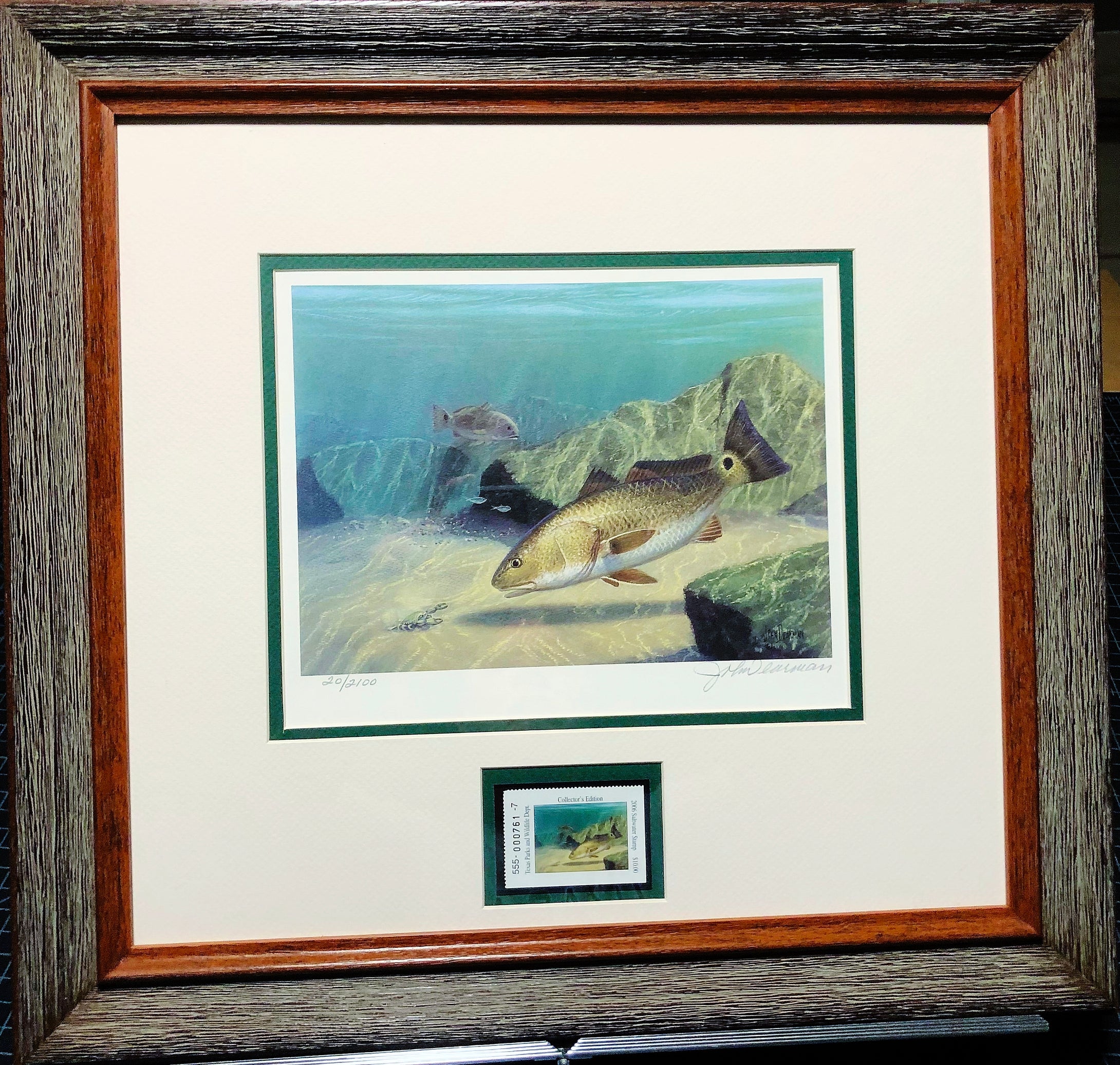 John Dearman 2006 Texas Saltwater Stamp Print W Stamp - Brand New Custom Sporting Frame