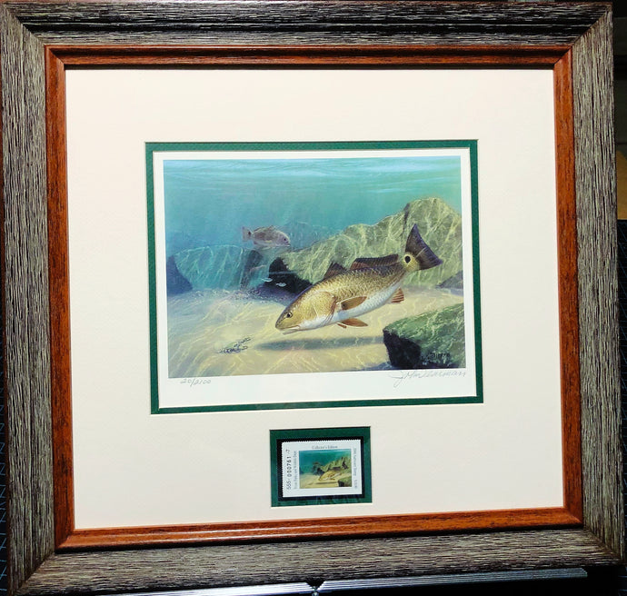 John Dearman 2006 Texas Saltwater Stamp Print W Stamp - Brand New Custom Sporting Frame