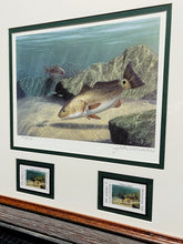 Load image into Gallery viewer, John Dearman - 2006 Texas Saltwater Stamp Print With Double Stamps - Brand New Custom Sporting Frame