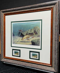 John Dearman - 2006 Texas Saltwater Stamp Print With Double Stamps - Brand New Custom Sporting Frame