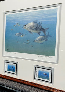 John Dearman - 2009 Texas Freshwater Stamp Print With Double Stamps - AP - Brand New Custom Sporting Frame