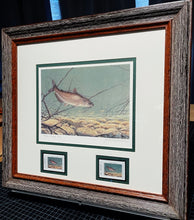 Load image into Gallery viewer, John Dearman - 2011 Texas Freshwater Stamp Print With Double Stamps Artist Proof - Brand New Custom Sporting Frame