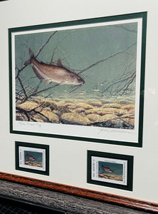 John Dearman 2011 Texas Freshwater Stamp Print With Double Stamps - Artist Proof - Brand New Custom Sporting Frame