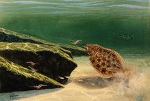 Load image into Gallery viewer, John Dearman - Flounder 2020 - Framed GiClee Coastal Conservation Association CCA - Brand New Custom Sporting Frame