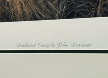 Load image into Gallery viewer, John Dearman - Deadwood Covey - Lithograph - Brand New Custom Sporting Frame