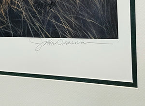 John Dearman - Deadwood Covey - Lithograph - Brand New Custom Sporting Frame