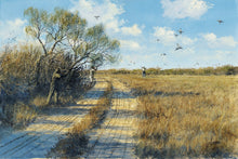 Load image into Gallery viewer, John Dearman - Doves 2011 - HS GiClee - Brand New Custom Sporting Frame