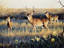 Load image into Gallery viewer, John Dearman - First Light - Lithograph - Brand New Custom Sporting Frame.
