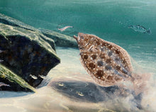 Load image into Gallery viewer, John Dearman - Flounder 2020 - FS GiClee - Brand New Custom Sporting Frame