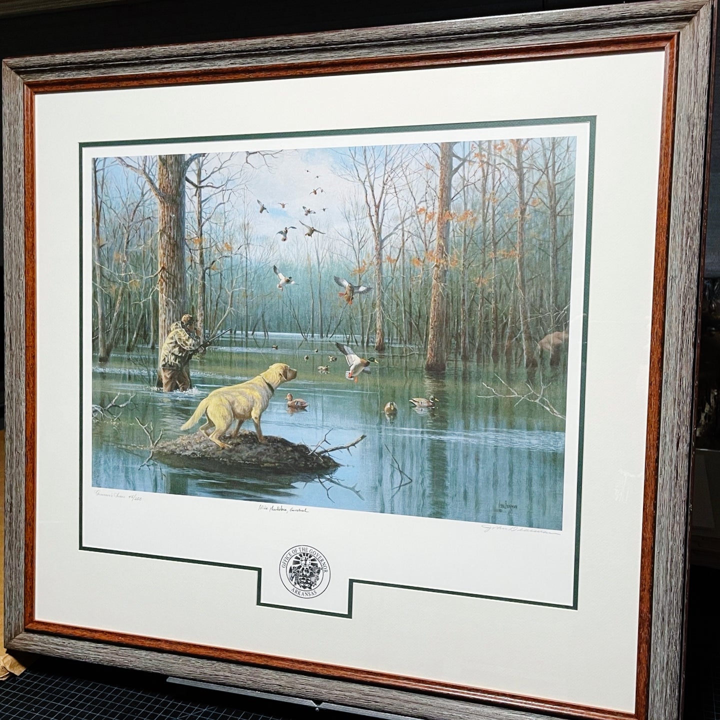 John Dearman - 1998 Arkansas Governor's Edition Of The 1998 Arkansas Migratory Issue Felsenthal Bottoms - Brand New Custom Sporting Frame
