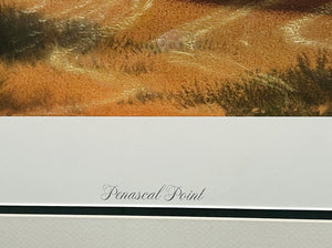 John Dearman - Penascal Point - Lithograph With Double Remarque's - Brand New Custom Sporting Frame