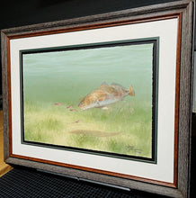 Load image into Gallery viewer, John Dearman - Redfish 2014 - Half Sheet GiClee - Brand New Custom Sporting Frame