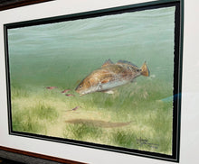 Load image into Gallery viewer, John Dearman - Redfish 2014 - Half Sheet GiClee - Brand New Custom Sporting Frame