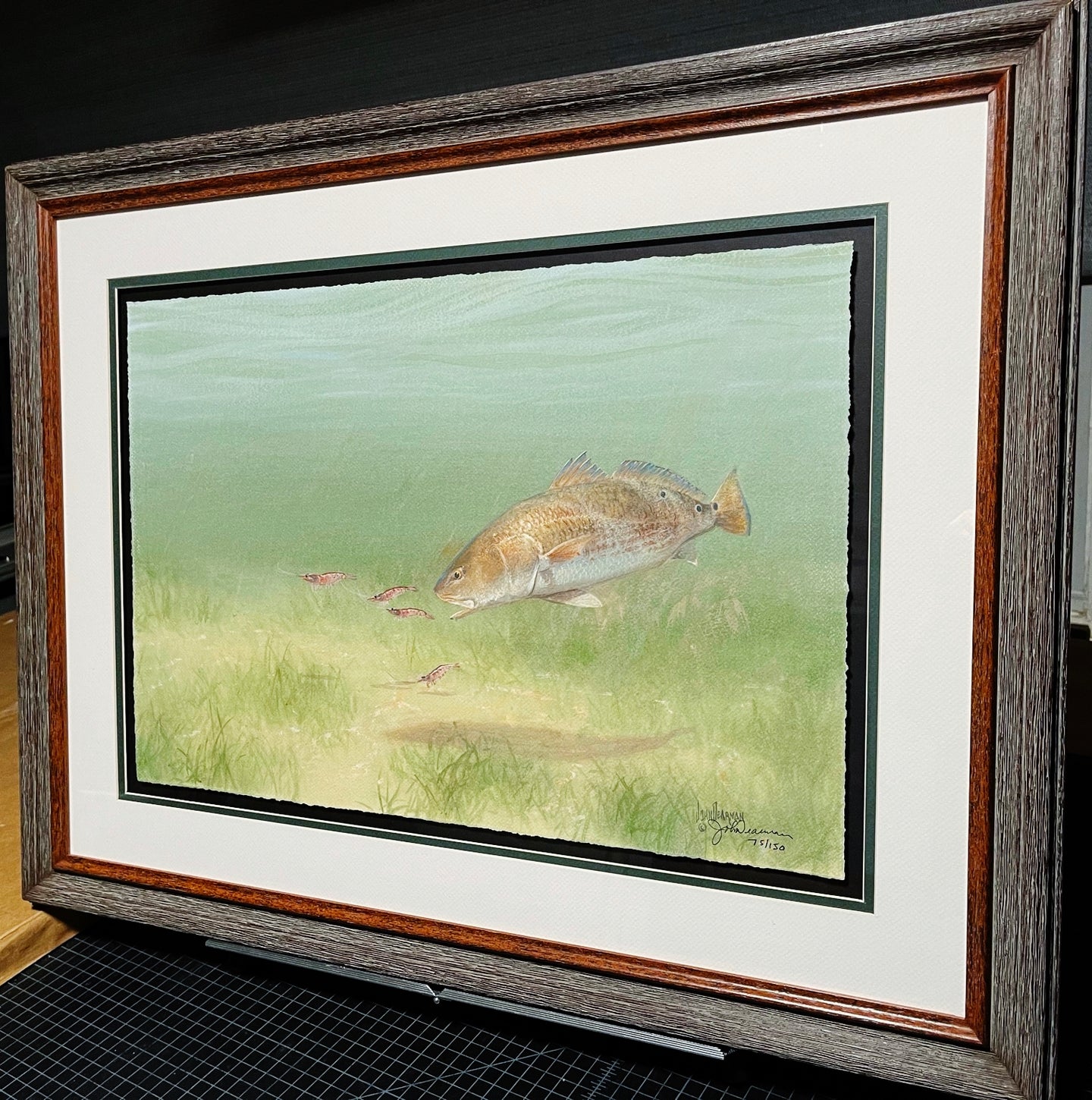 John Dearman - Redfish 2014 - Half Sheet GiClee - Brand New Custom Sporting Frame
