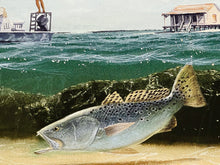 Load image into Gallery viewer, John Dearman - Speckled Trout 2007 - FS GiClee Speckled Trout - Brand New Custom Sporting Frame