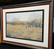 Load image into Gallery viewer, John Dearman - Whitetail Bucks and Doe 2014 - Half Sheet GiClee - Brand New Custom Sporting Frame