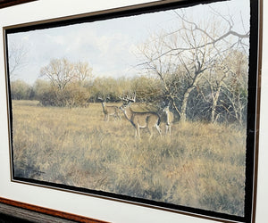John Dearman - Whitetail Bucks and Doe 2014 - Half Sheet GiClee - Brand New Custom Sporting Frame