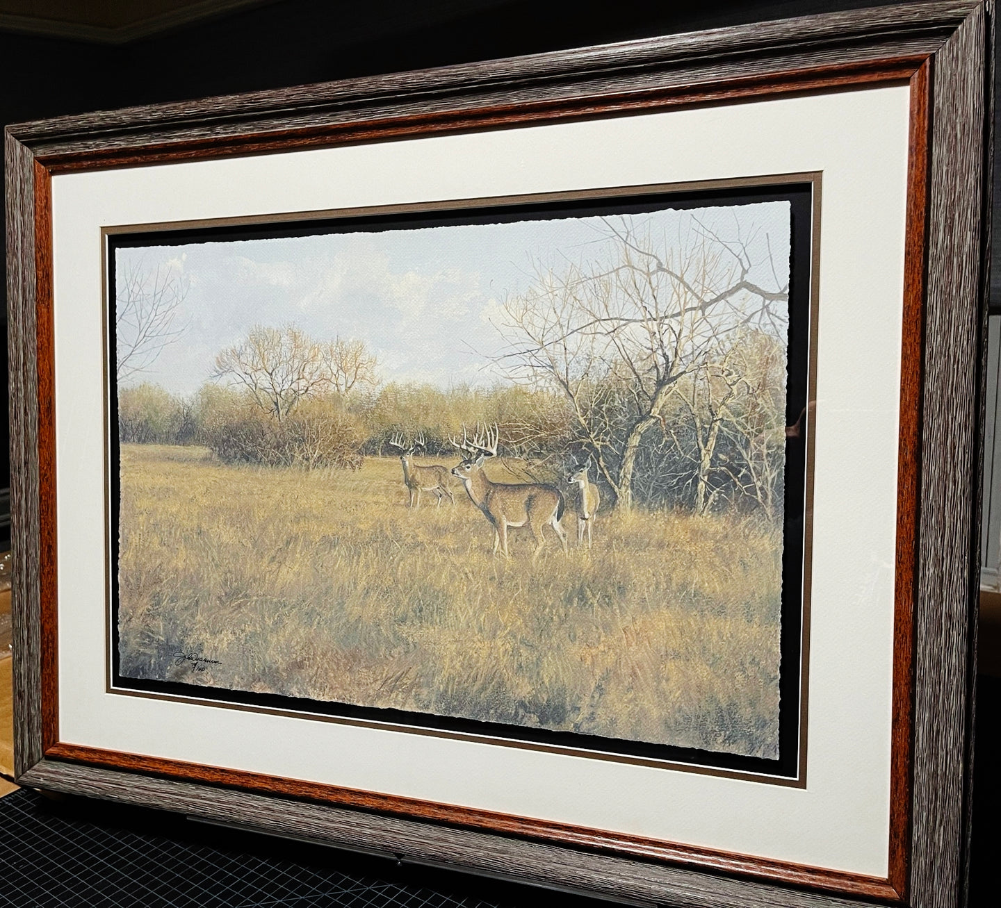John Dearman - Whitetail Bucks and Doe 2014 - Half Sheet GiClee - Brand New Custom Sporting Frame