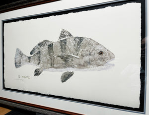 John Morrow Bull Black Drum Gyotaku GiClee - Brand New Super Custom Sporting Frame
