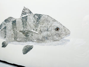 John Morrow Bull Black Drum Gyotaku GiClee - Brand New Super Custom Sporting Frame