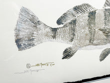 Load image into Gallery viewer, John Morrow Bull Black Drum Gyotaku GiClee - Brand New Super Custom Sporting Frame