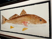 Load image into Gallery viewer, John Morrow Bull Redfish Gyotaku GiClee - Brand New Custom Sporting Frame