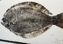 Load image into Gallery viewer, John Morrow Southern Flounder Gyotaku GiClee - Brand New Super Custom Sporting Frame