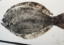 Load image into Gallery viewer, John Morrow - Southern Flounder Gyotaku GiClee - Brand New Custom Sporting Frame