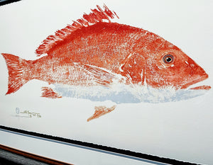 John Morrow - Sow Red Snapper Gyotaku GiClee - Brand New Custom Sporting Frame