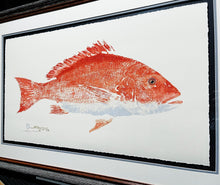 Load image into Gallery viewer, John Morrow - Sow Red Snapper Gyotaku GiClee - Brand New Custom Sporting Frame