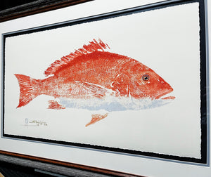 John Morrow - Sow Red Snapper Gyotaku GiClee - Brand New Custom Sporting Frame