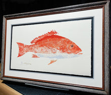 Load image into Gallery viewer, John Morrow - Sow Red Snapper Gyotaku GiClee - Brand New Custom Sporting Frame