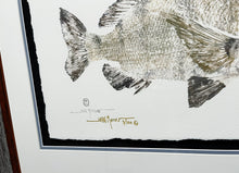 Load image into Gallery viewer, John Morrow - Sow Sheepshead Gyotaku GiClee - Brand New Custom Sporting Frame