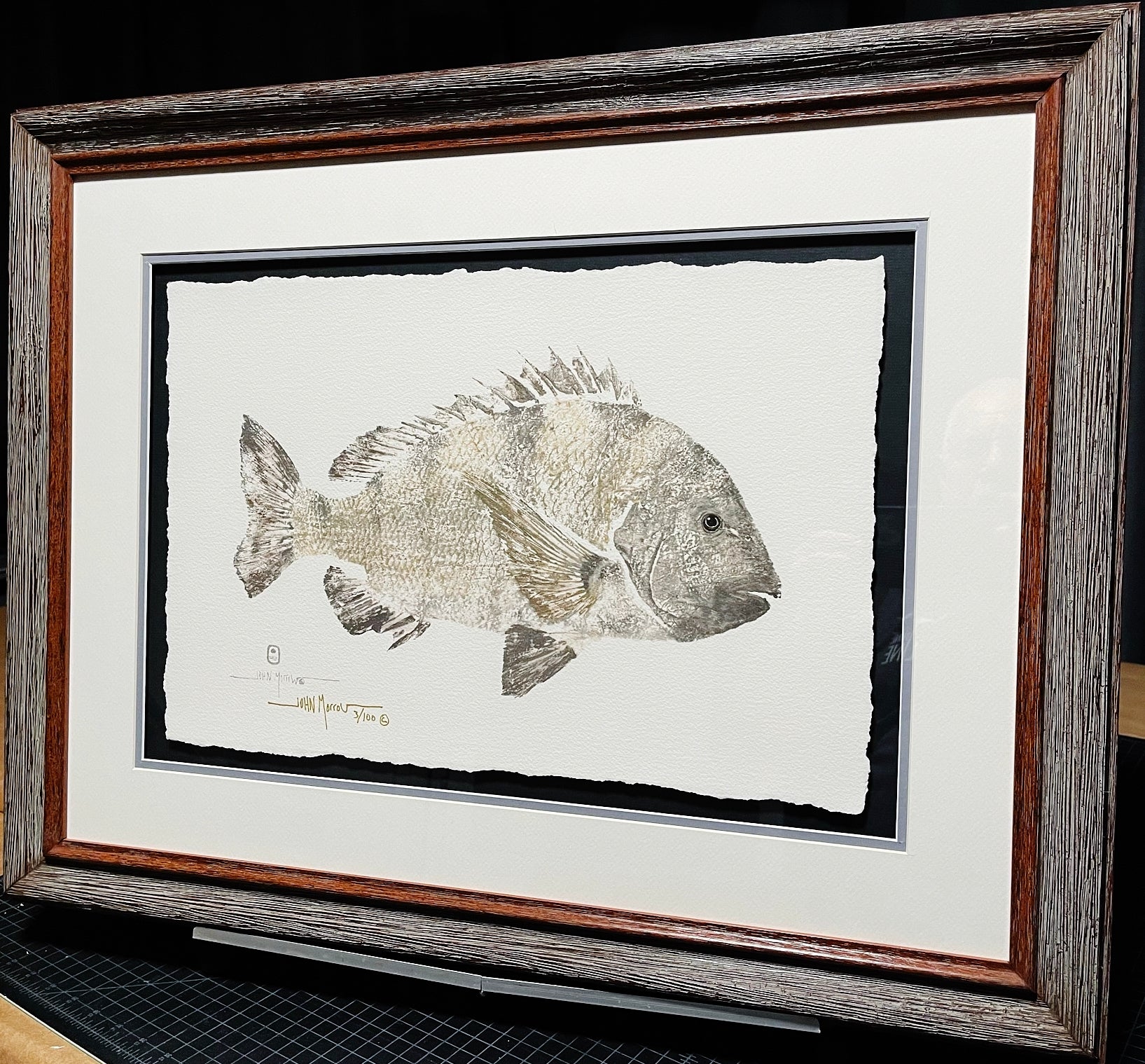 John Morrow Sow Sheepshead Gyotaku GiClee - Brand New Super Custom Sporting Frame