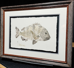John Morrow Sow Sheepshead Gyotaku GiClee - Brand New Super Custom Sporting Frame