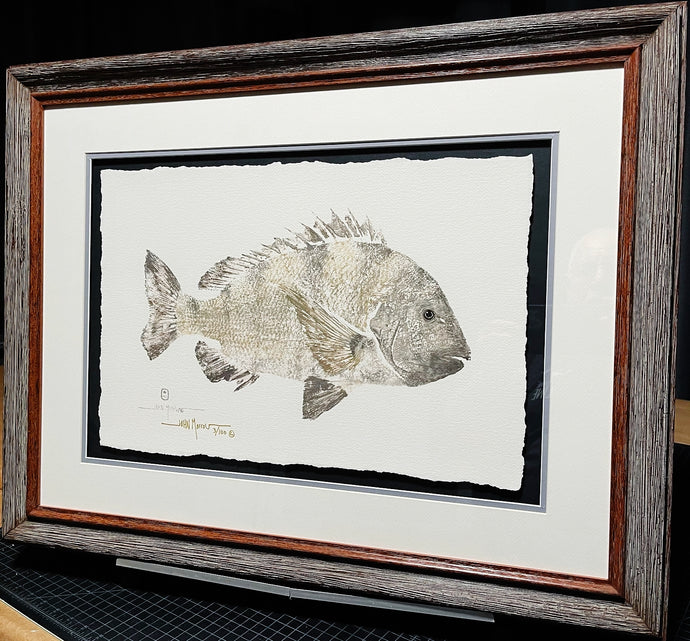 John Morrow Sow Sheepshead Gyotaku GiClee - Brand New Super Custom Sporting Frame