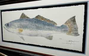John Morrow Trophy Speckled Trout Gyotaku GiClee - Brand New Custom Sporting Frame