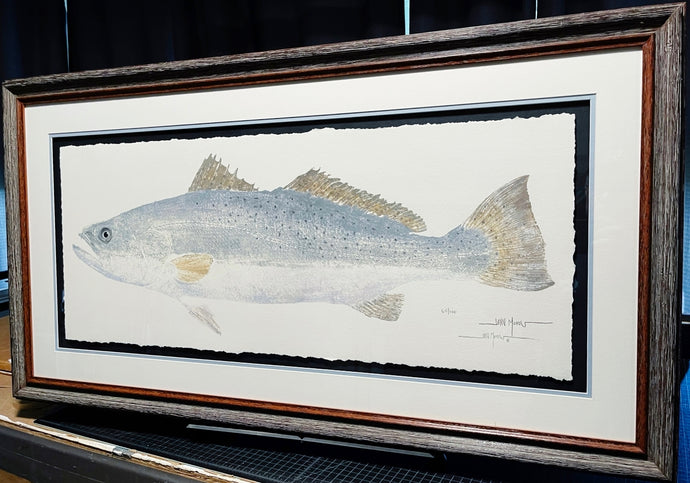 John Morrow Trophy Speckled Trout Gyotaku GiClee - Brand New Super Custom Sporting Frame