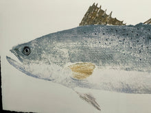 Load image into Gallery viewer, John Morrow - Speckled Trout Gyotaku GiClee - Brand New Custom Sporting Frame