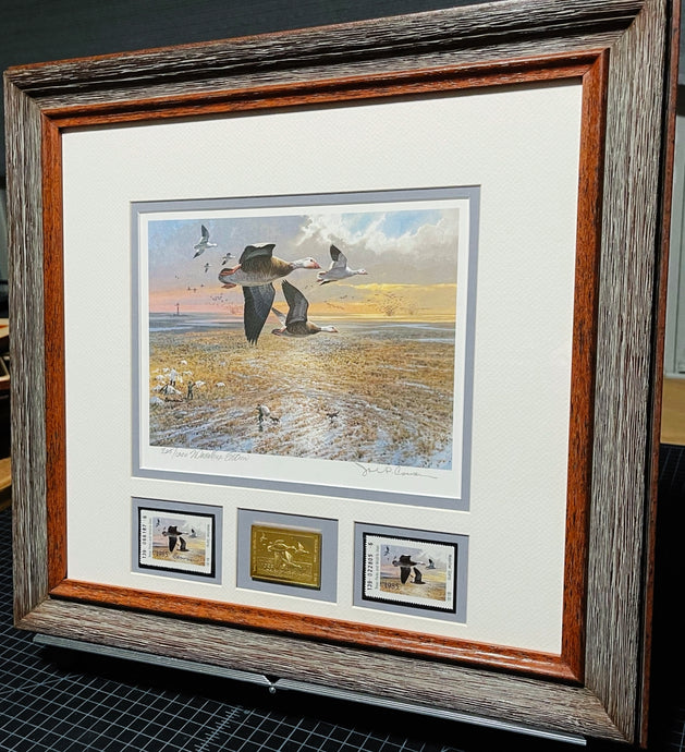 John P. Cowan 1985 Texas Waterfowl Duck Stamp Print Gold Medallion Edition With Double Stamps - Brand New Super Custom Sporting Frame